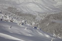 Le Alpi innevate nei pressi di Falcade, Belluno, Veneto. Circondata da importanti vette dolomitiche, Falcade è una rinomata località turistica sia invernale che estiva.



 ...