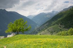 Paesaggio della Val Senales, in Trentino Aldo Adige. Chiamata Schnalstal in tedesco, questa località a 10 km da Merano prende il nome dal comune di Senales e dall'omonimo rio che ...