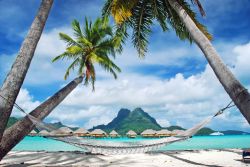 Isola di Bora Bora, Arcipelago della Società, Polinesia Francese: si poteva scegliere un posto migliore per piazzare un'amaca all'esterno di un resort di lusso? Sopra la testa ...
