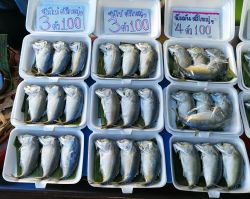 Anche il pesce nel mercato rionale Maekhlong Railway Market in Thailandia