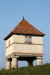 Un'antica colombaia nella città di Cluny, Francia. Questa tipologia di piccola costruzione era destinata all'allevamento dei colombi.
