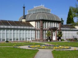 Antica serra a Kassel, Germania - Piante e fiori crescono al riparo di una delle serre della città tedesca di Kassel © Robert Biedermann / Shutterstock.com