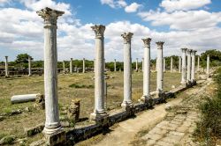 Antiche colonne nella città storica di Salamis (Salamina) nei pressi di Famagosta, Cipro Nord - © Anton Kudelin / Shutterstock.com