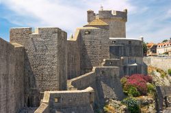 Antiche mura fortificate di Dubrovnik, Croazia. L'intero perimetro è percorribile a piedi: da qui si può avere un quadro completo delle bellezze artistiche della città.
 ...
