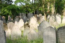 Un antico cimitero ebraico a Worms, Germania. La comunità ebraica fu costretta ad abbandonare la città con la presa del potere da parte di Hitler - foto © Jiri Vaclavek / ...