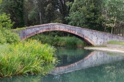 L'antico ponte del Principe sul Fiumetto nel parco della Versilia, Marina di Pietrasanta (Toscana).

