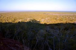 Arabuko-Sokoke Forest, Watamu (Kenya): una vista panoramica della foresta di Arabuko-Sokoke, nei pressi della cittadina di Watamu. Sullo sfondo si intravede l'Oceano Indiano.