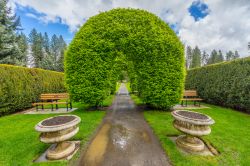 Archi di vegetazione nel Manito Park e Botanical Gardens a Spokane, Washington, Stati Uniti d'America. Questo parco pubblico di 90 ettari è aperto tutti i giorni. Al suo interno ci ...