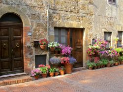 Architettura civile a Sovana, Toscana. Il contrasto fra il tufo utilizzato per costruire gli edifici, il cotto della pavimentazione e i fiori che abbelliscono i vicoli crea un'atmosfera ...