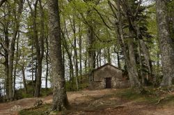 Architettura in armonia con la natura al santuario della Verna, Toscana - © 188183165 / Shutterstock.com