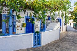 Architettura tipica in un villaggio dell'isola di Lipsi, Grecia, con dettagli blu e azzurri di porte, finestre e vasellame.

