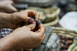 Olio d'argan a Marrakech, Marocco - Apprezzato per le sue proprietà nutritive, cosmetiche e medicamentose, l'olio d'argan viene estratto dai semi della pianta argania e poi ...