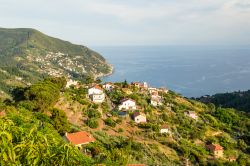 Una bella veduta dall'alto di Arma di Taggia, sulla riviera ligure. Questa graziosa frazione di Taggia è una rinomata località balneare.
