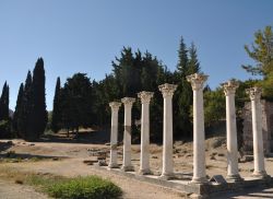 Sito archeologico di Asclepieion sull'isola di Kos, Grecia (Dodecaneso). Dedicato al dio della medicina Asclepio, il santuario è stato costruito alla fine del IV° secolo a.C. ...