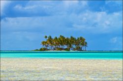 Atollo di Rangiroa, isole delle Tuamotu, Polinesia Francese: una splendida immagine di mare, palme e spiaggia.
