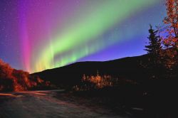 L'aurora boreale nel Parco Nazionali di Denali, Alaska. Quest'area di oltre 24 mila chilometri quadrati include tundre, foreste di abeti e ghiacciai.


