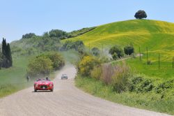 Auto d'epoca nelle campagne di San Giovanni d'Asso, provincia di Siena - ©  Roberto Cerruti / Shutterstock.com 