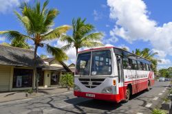 Autobus a Grand Baie, Mauritius - Sono molto utilizzati sia dai turisti che dagli abitanti del luogo i numerosi autobus che permettono di viaggiare per l'isola a prezzi contenuti © ...
