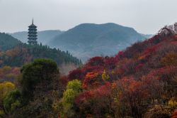 Autunno a Hong Ye Gu nei pressi di Jinan, Cina. Questa parco privato comprende montagne e laghi di grande bellezza oltre a un santuario di uccelli. 



