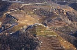 Autunno in Val di Non: i vigneti che circondano il Borgo di Cles, sponda occidentale del Lago di Santa GIustina