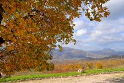 Autunno nei pressi del lago di Laceno, provincia di Avellino, Campania: sfumature rosse e arancione per il foliage degli alberi attorno al bacino di origine carsica.

