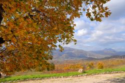 Autunno nei pressi del lago di Laceno, provincia di Avellino, Campania: sfumature rosse e arancione per il foliage degli alberi attorno al bacino di origine carsica.

