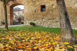 Autunno nel borgo di Buonconvento, Siena, Toscana. Foglie dalle tonalità gialle, arancio e rosse ricoprono aiuole e prati del borgo - © robertonencini / Shutterstock.com