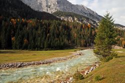 Autunno nel Karwendel, Olympiaregion, Tirolo settentrionale in Austria.