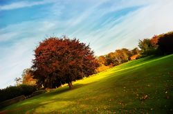 Gli affascinanti colori del primo foliage autunnale in un parco della città danese di Aalborg - foto © irbis pictures / Shutterstock.com