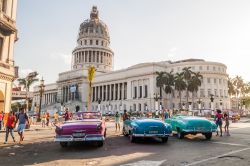L'Avana, Cuba: vecchie auto americane degli anni '50 parcheggiate nel Parque Central, di fronte al Capitolio - © Matyas Rehak / Shutterstock.com