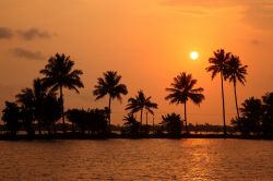 Le palme e le backwaters di Alleppey (India) all'ora del tramonto. I turisti amano affittare delle houseboat e trascorreere qualche giorno sulle acque dello stato del Kerala - foto © ...