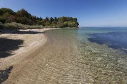 La spiaggia dei Bagni di Domiziano a Porto Santo Stefano, siamo all'Argentario in Toscana  - © Andrea de Maria / Proloco Monte Argentario
