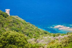 La baia di Cupabia e Torre Campanella costa ovest della Corsica