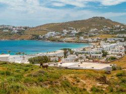 La baia della spiaggia di Ornos: siamo sull'isola di Mykonos in Grecia- © imagIN.gr photography / Shutterstock.com