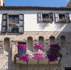 Balconi e finestre fiorite in una vecchia casa di Jesi, provincia di Ancona. Posizionata lungo il corso medio del fiume Esino, questa località è la più importante della ...