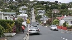 Baldwin Street, la più ripida strada del mondo: si trova a Dunedin, Nuova Zelanda - © udeyismail / Shutterstock.com 