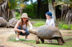 Turtle feeding: due bambini danno da mangiare ad una testuggine sull'isola di Mauritius