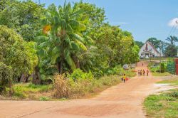 Bambini tornano a casa da scuola su una strada polverosa a Brokopondo, Suriname (Sud America) - © Nancy van den Ende / Shutterstock.com