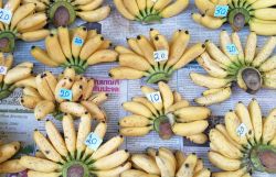 Banane in vendita al mercato del treno Maekhlong Railway Market