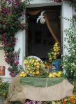 Bancarella alla Festa del lImone di Monterosso in Liguria - @ Pro Loco Monterosso