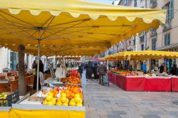 Bancarelle al mercato locale di Tolone (Francia) con gente che acquista frutta e verdura - © pio3 / Shutterstock.com