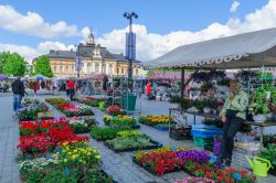 Bancarelle di fiori al mercato cittadino di Kuopio, Finlandia. Sullo sfondo, il municipio della città e turisti a spasso per il centro - © RnDmS / Shutterstock.com