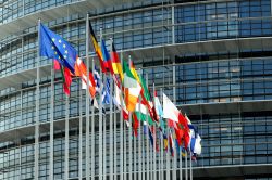 Bandiere degli Stati Europei all'esterno del Parlamento di Strasburgo, Francia. Posta a metà strada tra Parigi e Praga, Strasburgo è sempre stata il crocevia dell’Europa ...