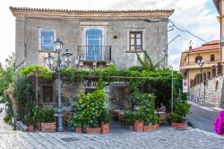 Bar Vitelli a Savoca, Forza d'Agrò, provincia di Messina (Sicilia):  è stata la location utilizzata per le scene ambientate a Corleone del film Il Padrino di Coppola. ...