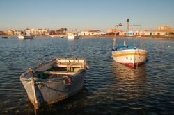 Barche alla rada di Marzamemi, Sicilia - Alcune barche ormeggiate nella rada del villaggio marinaro in provincia di Siracusa, a pochi chilometri di distanza da Pachino e dalla barocco Noto. ...