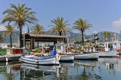 Barche da pesca al porto di Cavalaire-sur-Mer, sud della Francia. Oltre a svolgere un importantissimo ruolo nell'ambito dell'economia locale, questo porto è anche un eccellente ...