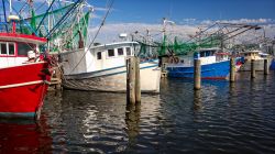 Barche da pesca colorate ormeggiate al porto di Biloxi, Mississipi, Stati Uniti.



