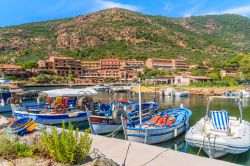 Barche da pesca colorate ormeggiate alla marina di Porto, Corsica. Questa località, frazione del Comune di Ota, è stata per decenni lo sbocco sul mare del capoluogo. Oggi è ...