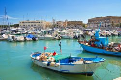 Barche da pesca e gommoni ormeggiati al porto di Trani, Puglia. Fino al XVI° secolo, questa località è stata un importante scalo commerciale. 

