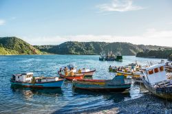 Barche da pesca ormeggiate a Angelmo, Puerto Montt, Cile - © Natalia Ramirez Roman / Shutterstock.com